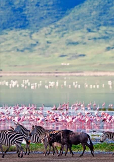 КЛАССИЧЕСКОЕ САФАРИ SERENA 6